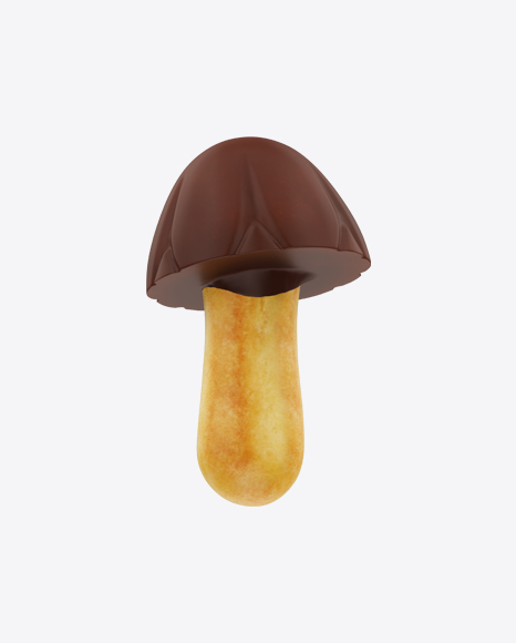 Chocolate Mushroom