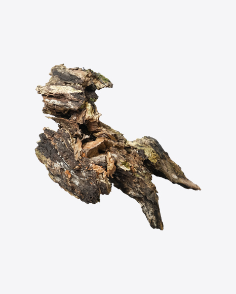 Wooden Snag PNG