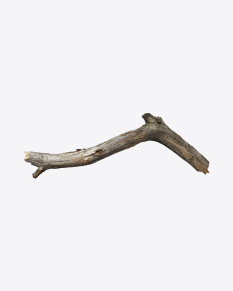 Wooden Snag PNG