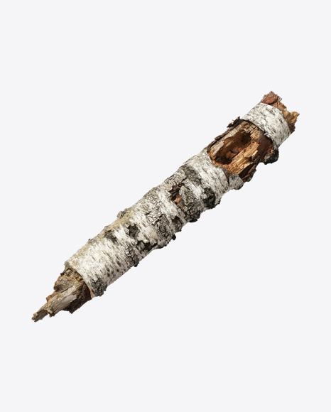 Wooden Snag PNG