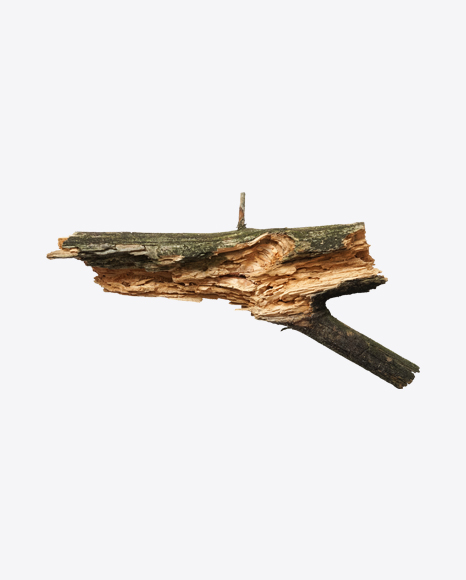 Wooden Snag PNG