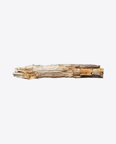 Wooden Snag PNG