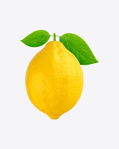 Lemon on Branch PNG