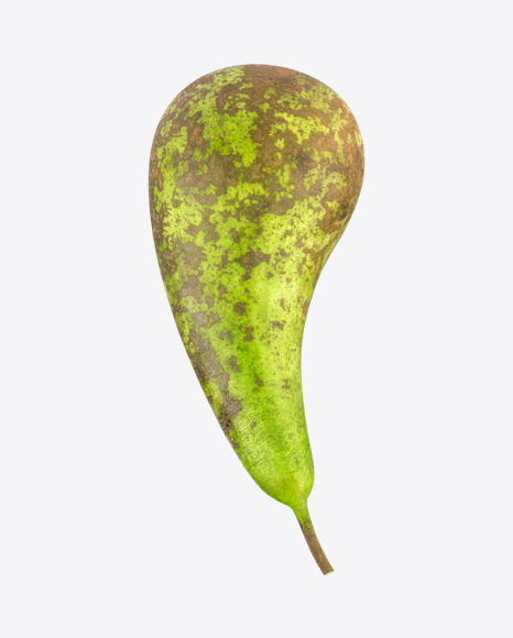 Conference Pear