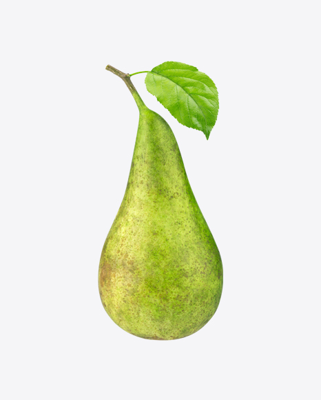 Pear on Branch PNG