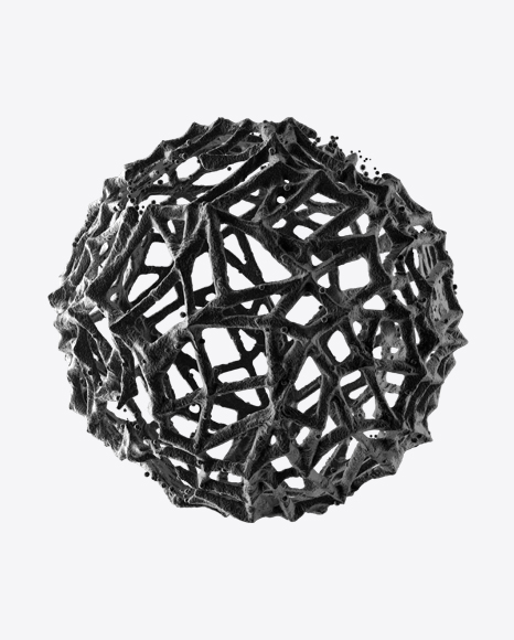 Radiolaria