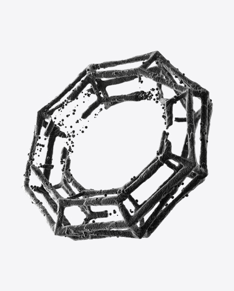 Radiolaria