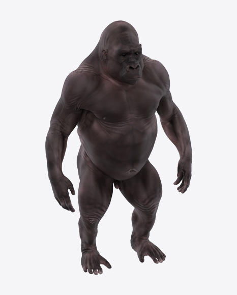 Hairless Gorilla PNG