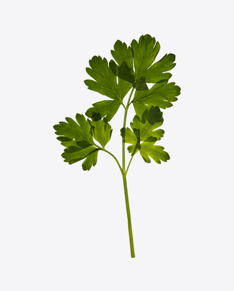 Parsley