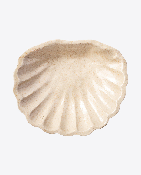 Ceramic Shell Tray PNG