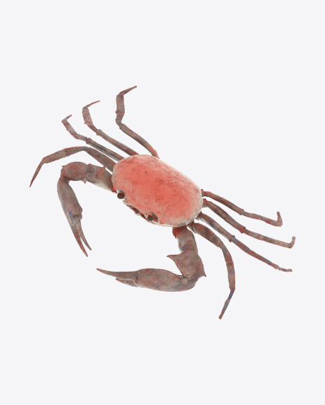 Crab