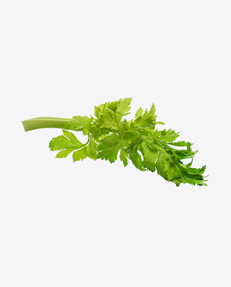 Celery Branch PNG