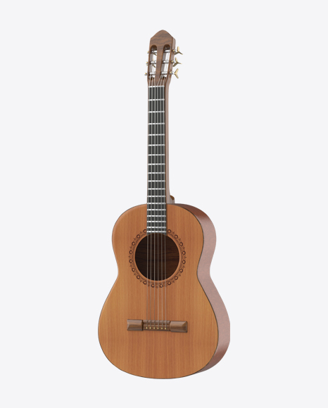 Acoustic Guitar