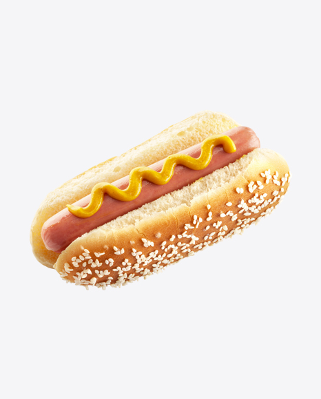 Hot Dog with Mustard