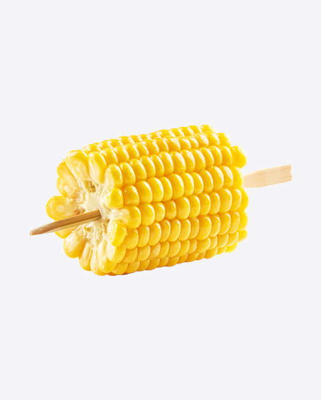 Corn Ear Slice on Stick