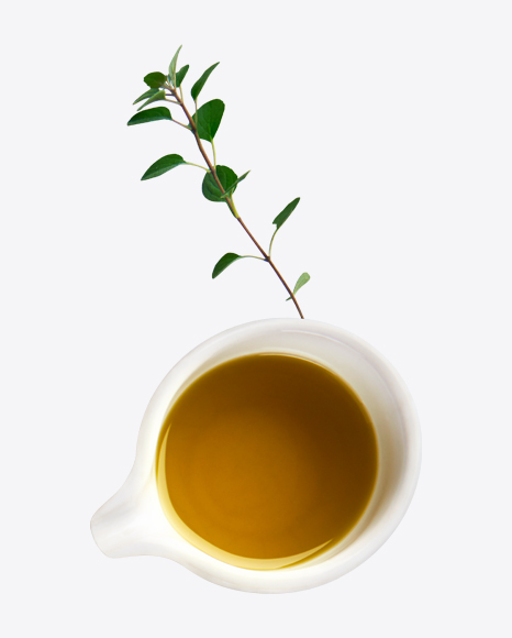 Pure Honey in White Bowl