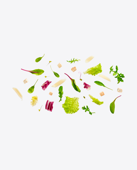 Salad & Herbs & Cheese set