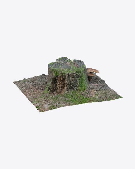 Mossy Stump PNG