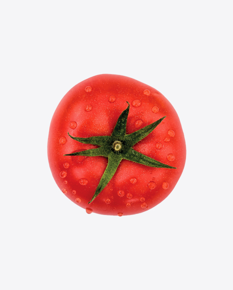 Tomato