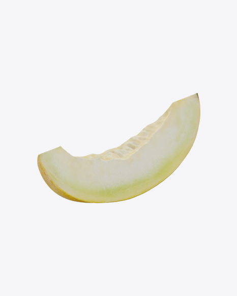 Melon Slice