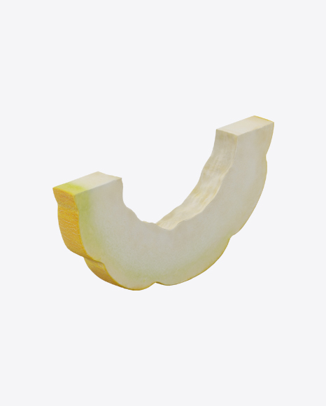 Melon Slice