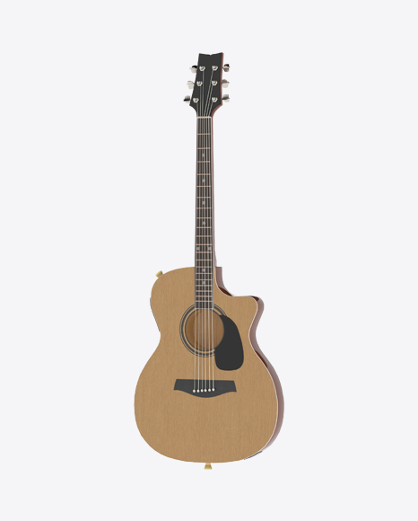 Electric Guitar