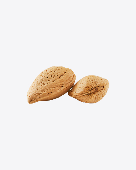 Almond Nuts in Shell