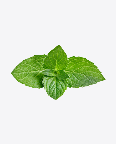 Mint Leaves PNG
