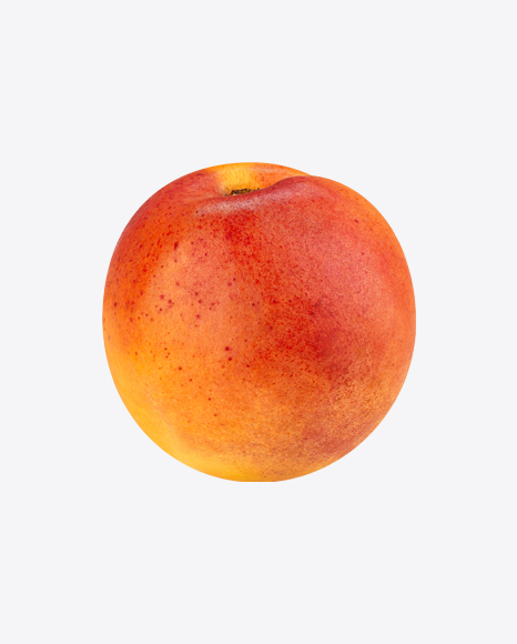 Armenian Plum