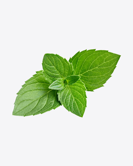 Mint Leaves