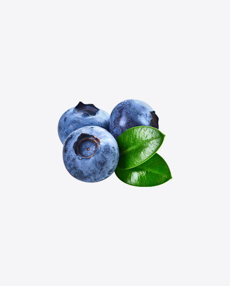 Blueberries w/ Leaves PNG