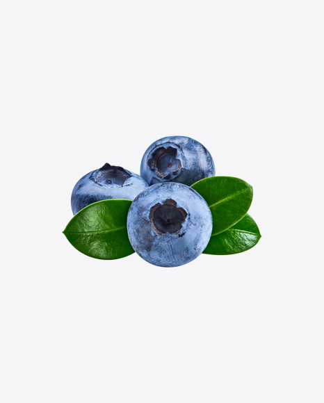 Blueberries w/ Leaf PNG