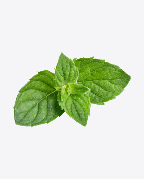 Mint Leaves PNG