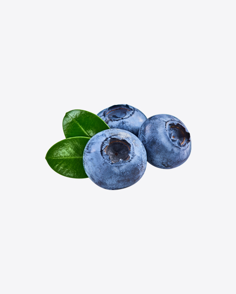 Blueberries w/ Leaves PNG