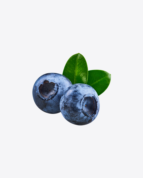 Blueberries w/ Leaf PNG