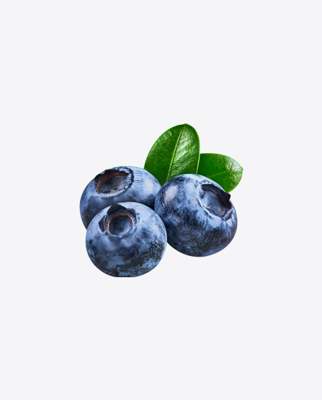 Blueberries w/ Leaf PNG