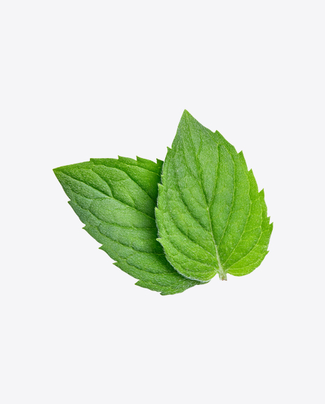 Mint Leaves PNG