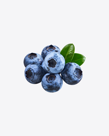 Blueberries w/ Leaves