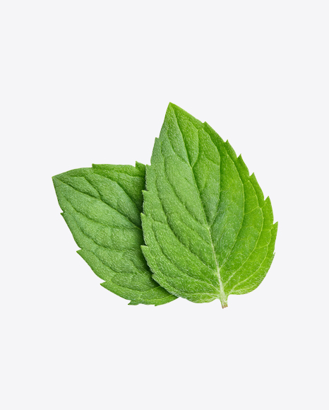 Mint Leaves PNG