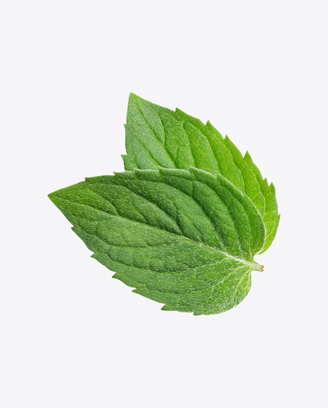 Mint Leaves PNG