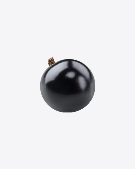 Black Currant Berry PNG