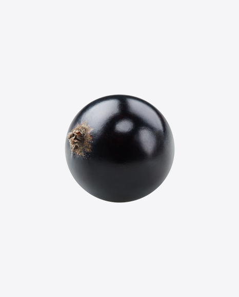 Black Currant Berry