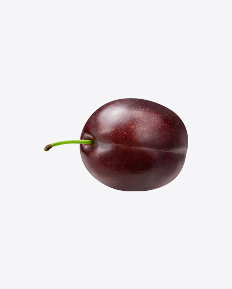 Plum
