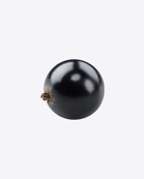 Black Currant Berry PNG