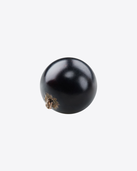 Black Currant Berry PNG