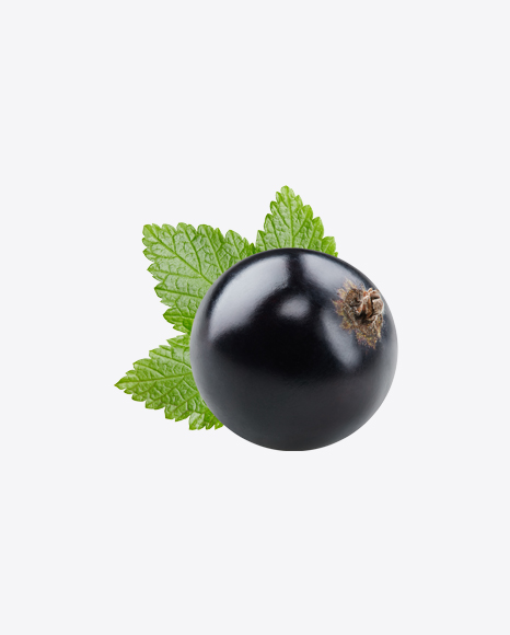 Black Currant Berry w/ Leaf PNG