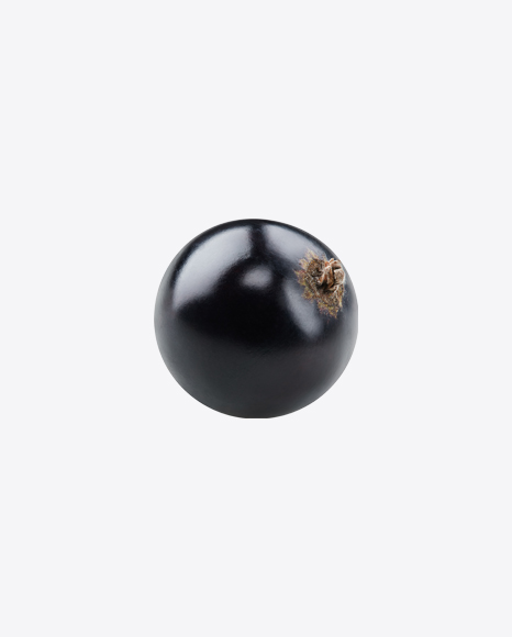 Black Currant Berry PNG