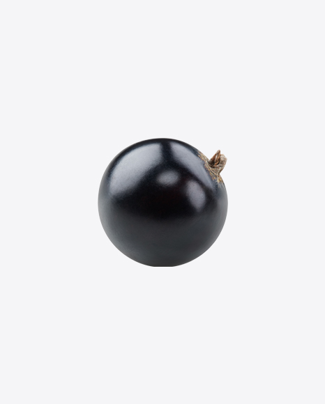 Black Currant Berry PNG