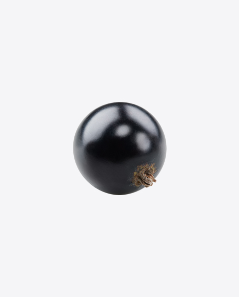 Black Currant Berry PNG