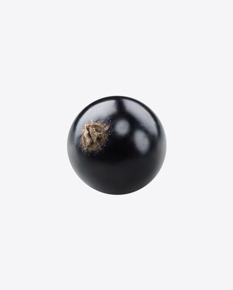 Black Currant Berry PNG